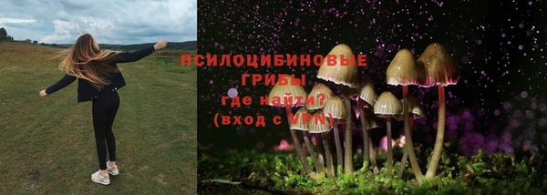 спайс Киренск